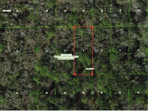 Unassigned Wesley Chapel FL 33544