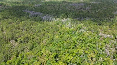 Unassigned Wesley Chapel FL 33544