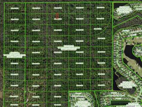 Unassigned Wesley Chapel FL 33544
