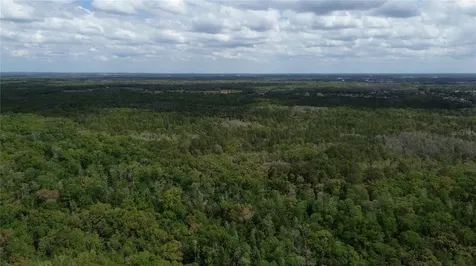 Unassigned Wesley Chapel FL 33544