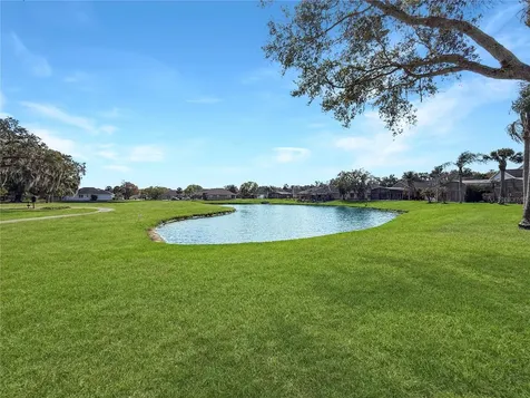 1929 Willow Wood Drive Kissimmee FL 34746