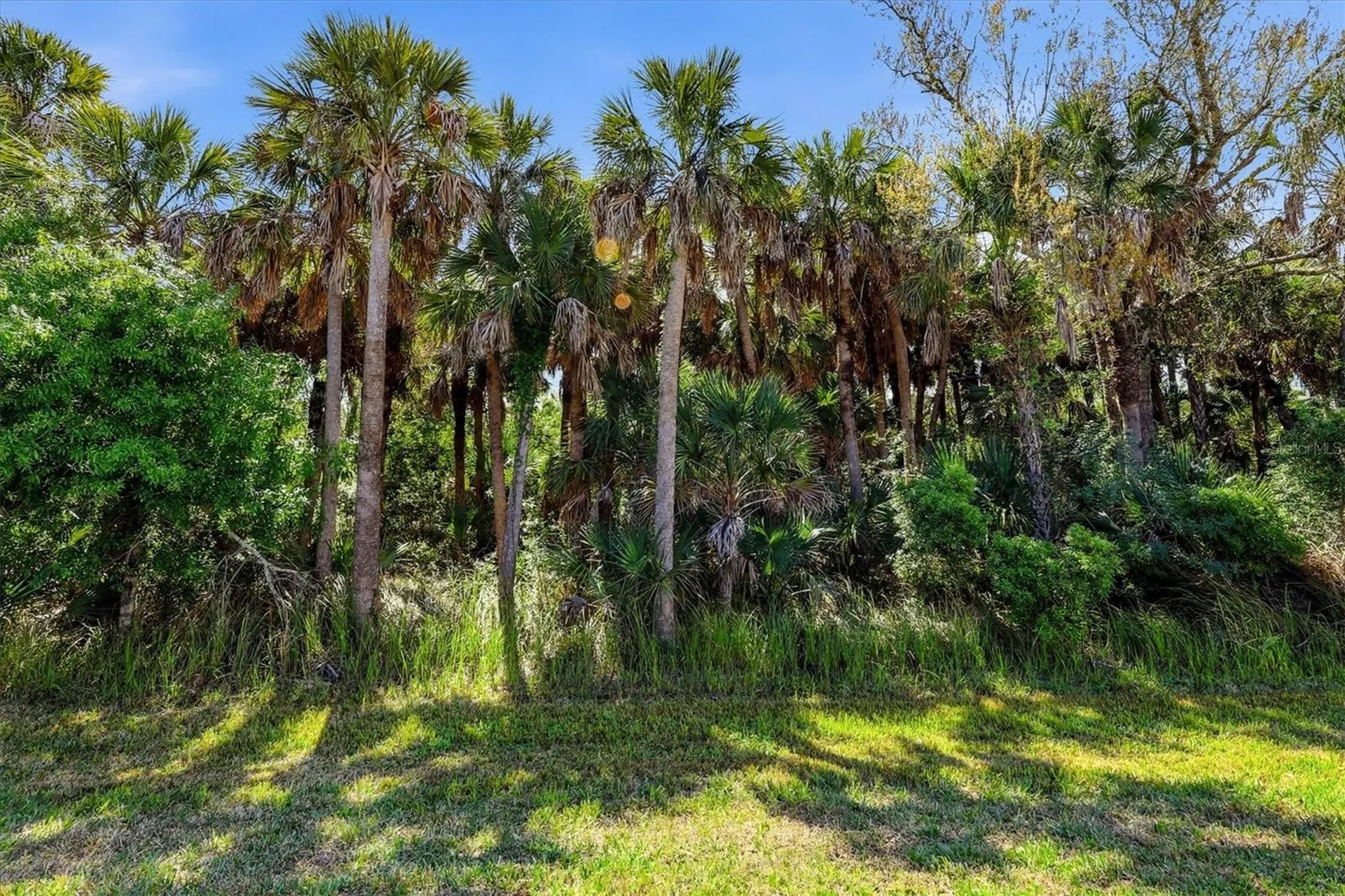 12031 Lovegrass Street Venice FL 34293