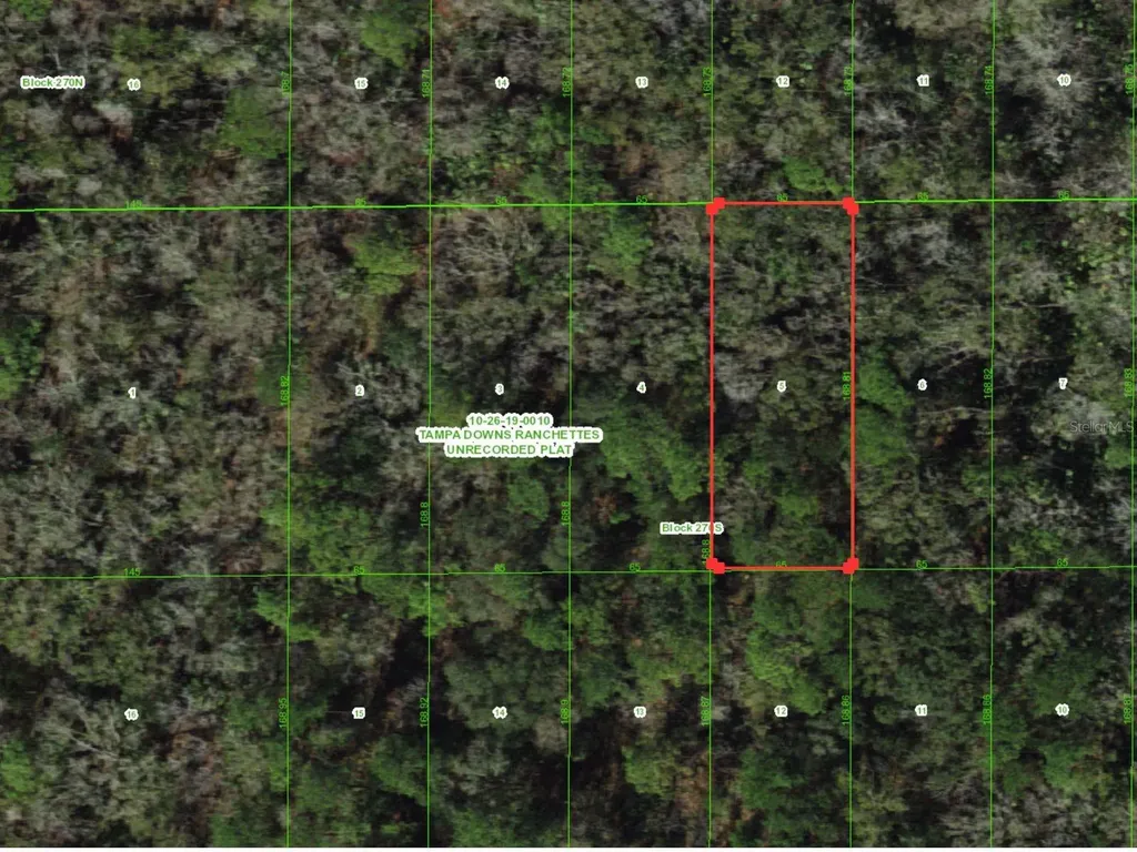 Unassigned Wesley Chapel FL 33544