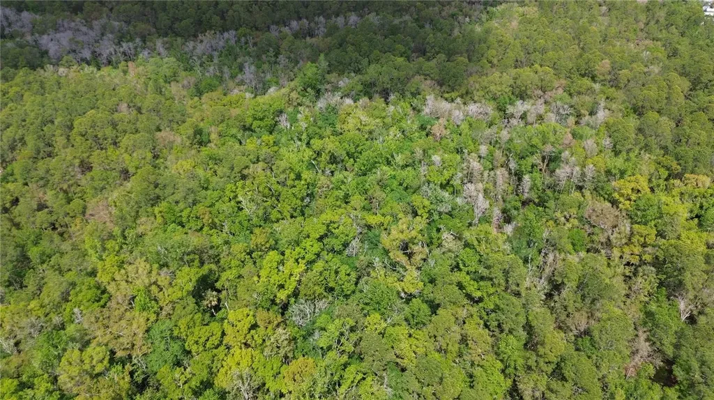 Unassigned Wesley Chapel FL 33544