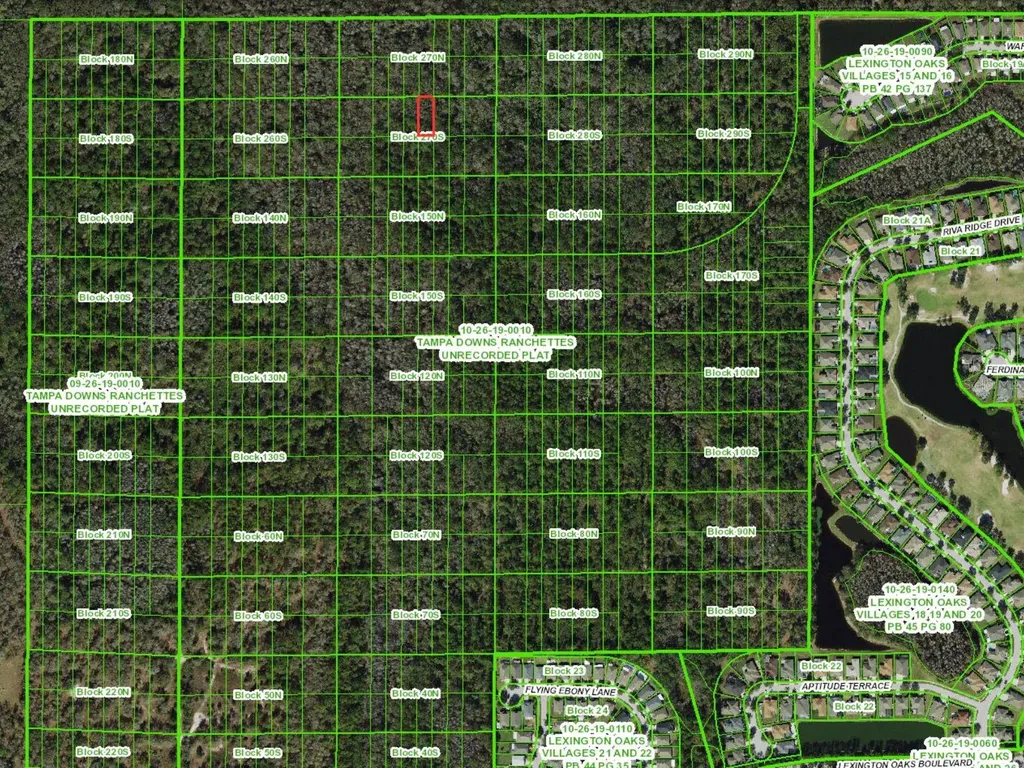 Unassigned Wesley Chapel FL 33544