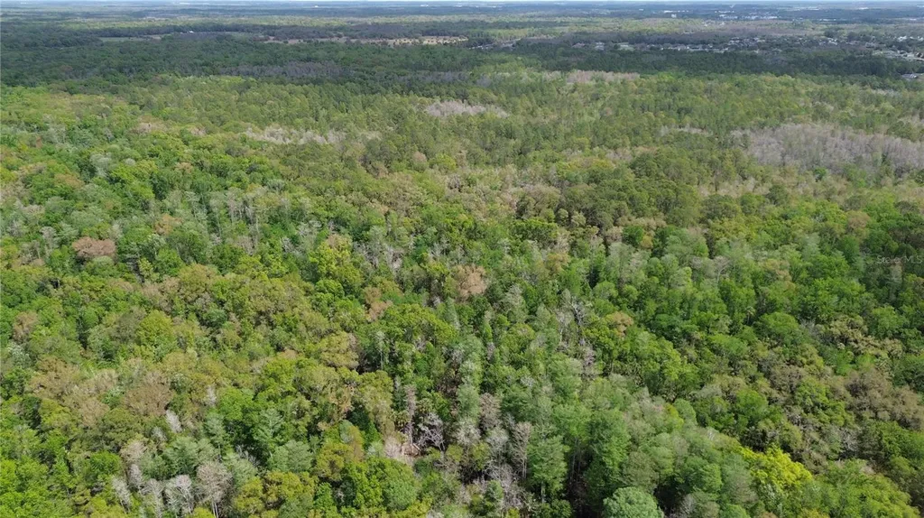 Unassigned Wesley Chapel FL 33544