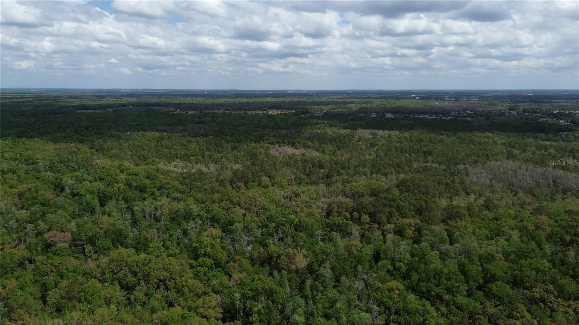 Unassigned Wesley Chapel FL 33544