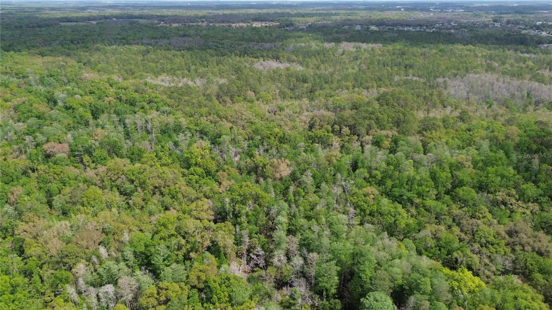 Unassigned Wesley Chapel FL 33544
