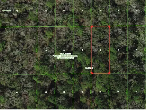 Unassigned Wesley Chapel FL 33544