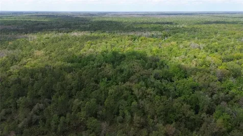 Unassigned Wesley Chapel FL 33544