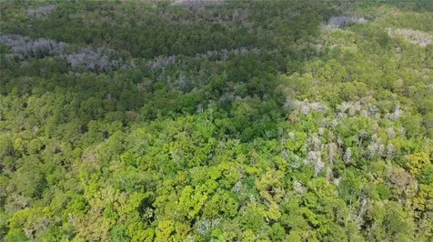 Unassigned Wesley Chapel FL 33544