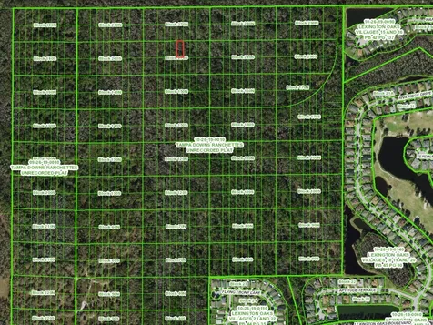 Unassigned Wesley Chapel FL 33544