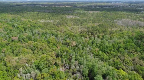 Unassigned Wesley Chapel FL 33544