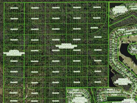 Unassigned Wesley Chapel FL 33544