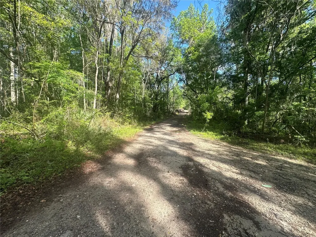 Tbd SE 41st Terrace Belleview FL 34420