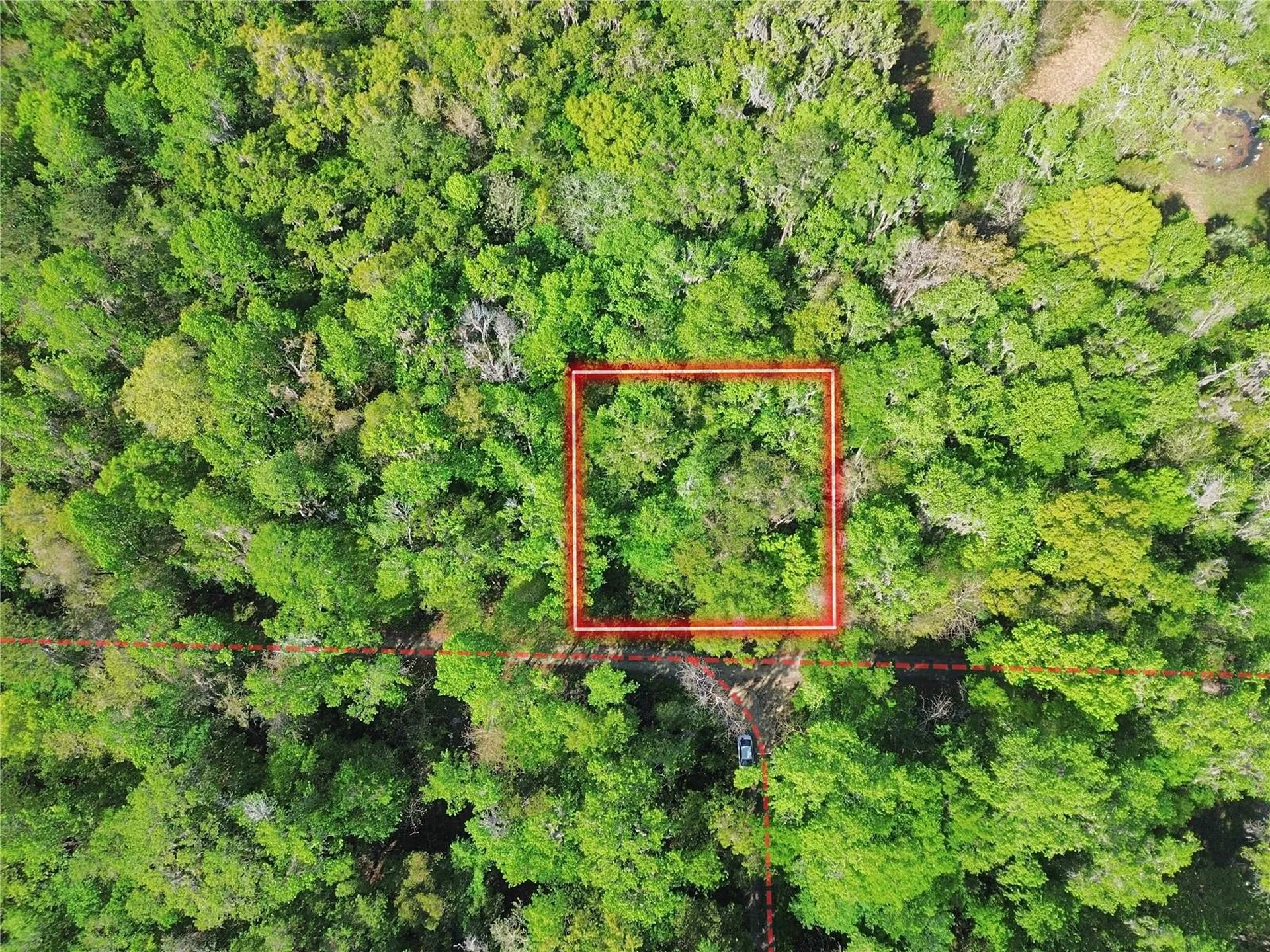 Tbd SE 41st Terrace Belleview FL 34420