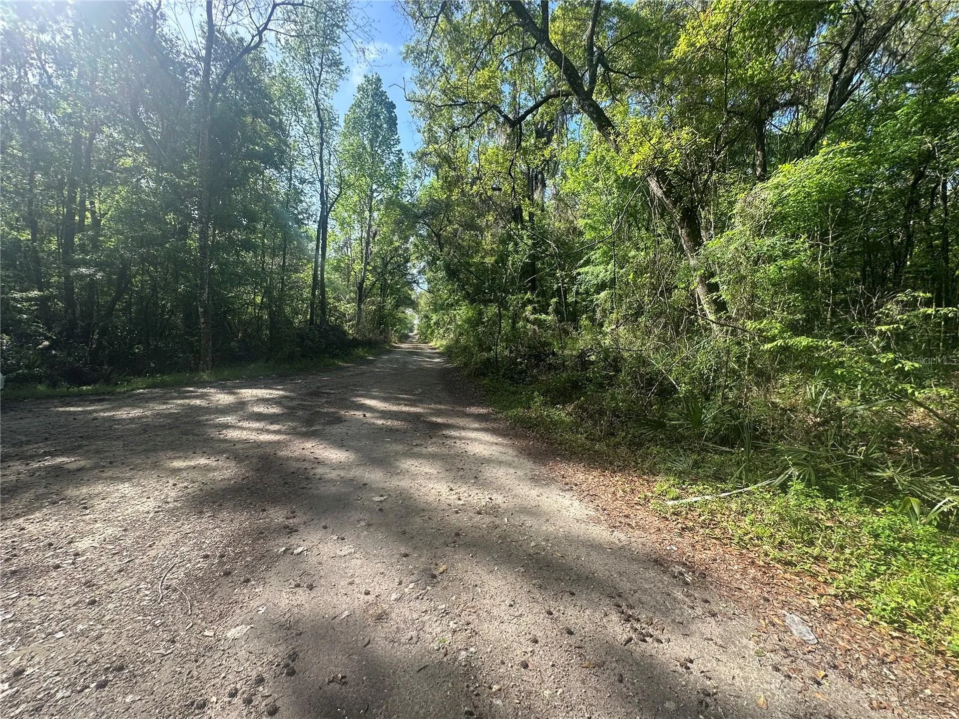 Tbd SE 41st Terrace Belleview FL 34420
