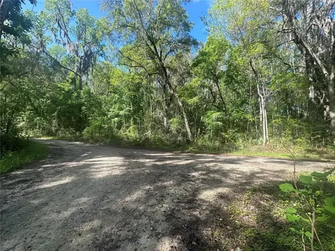 Tbd SE 41st Terrace Belleview FL 34420