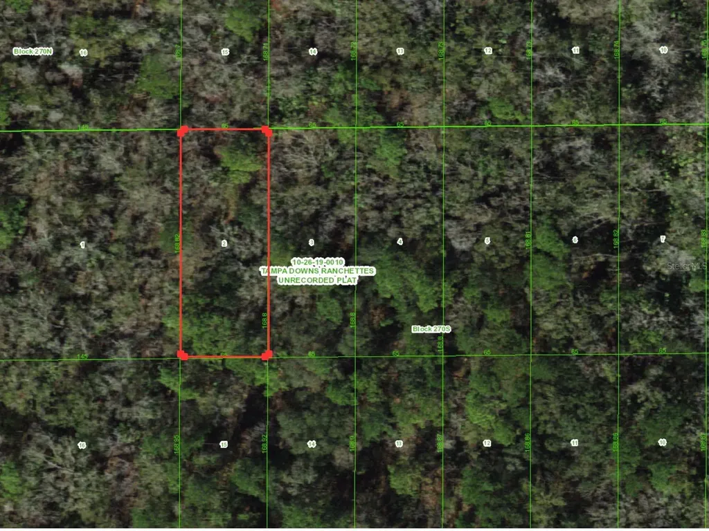Unassigned Wesley Chapel FL 33544