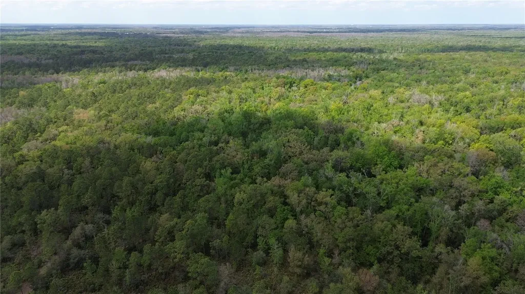 Unassigned Wesley Chapel FL 33544