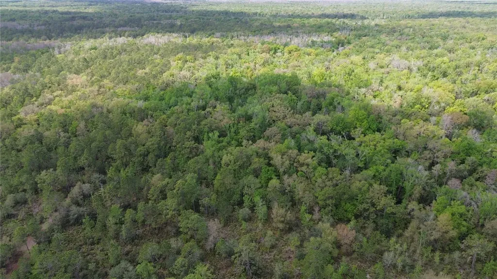 Unassigned Wesley Chapel FL 33544