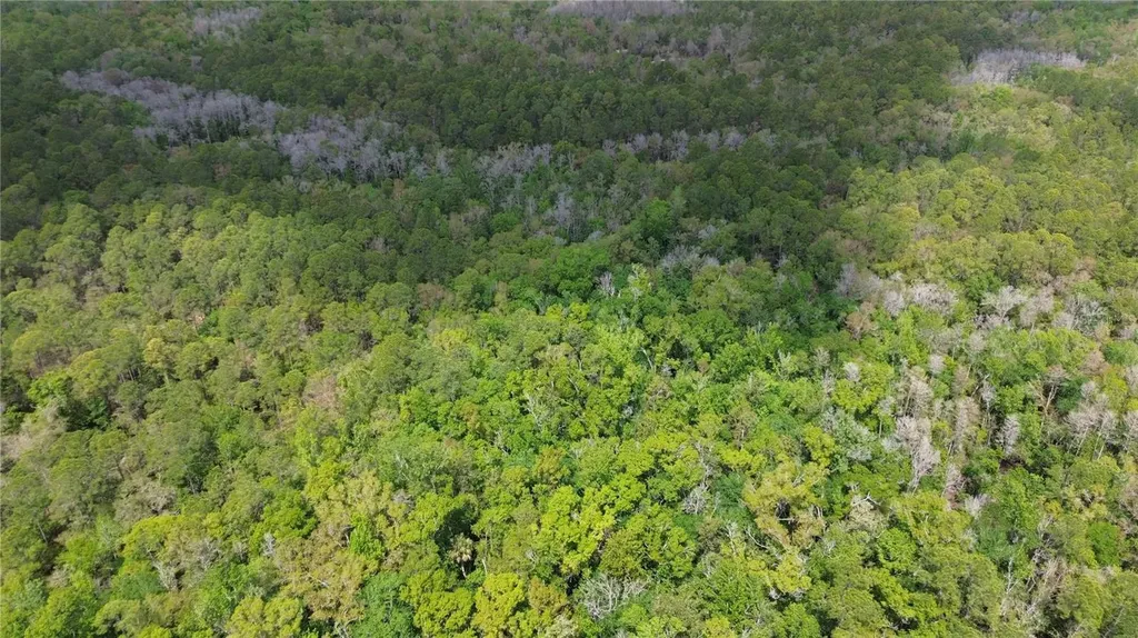 Unassigned Wesley Chapel FL 33544