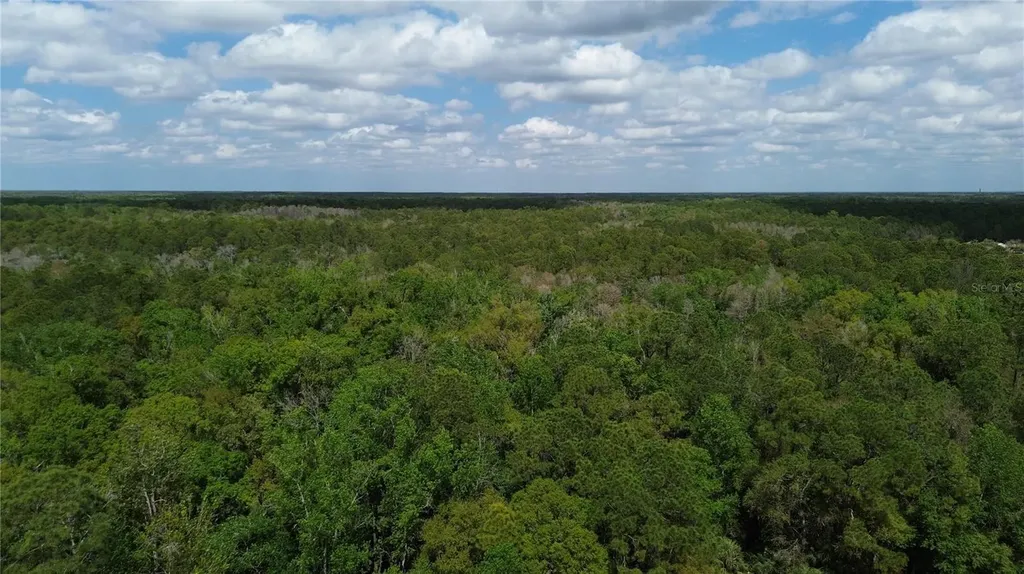 Unassigned Wesley Chapel FL 33544