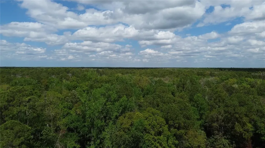 Unassigned Wesley Chapel FL 33544