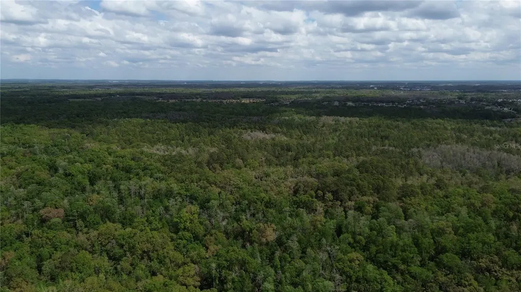 Unassigned Wesley Chapel FL 33544