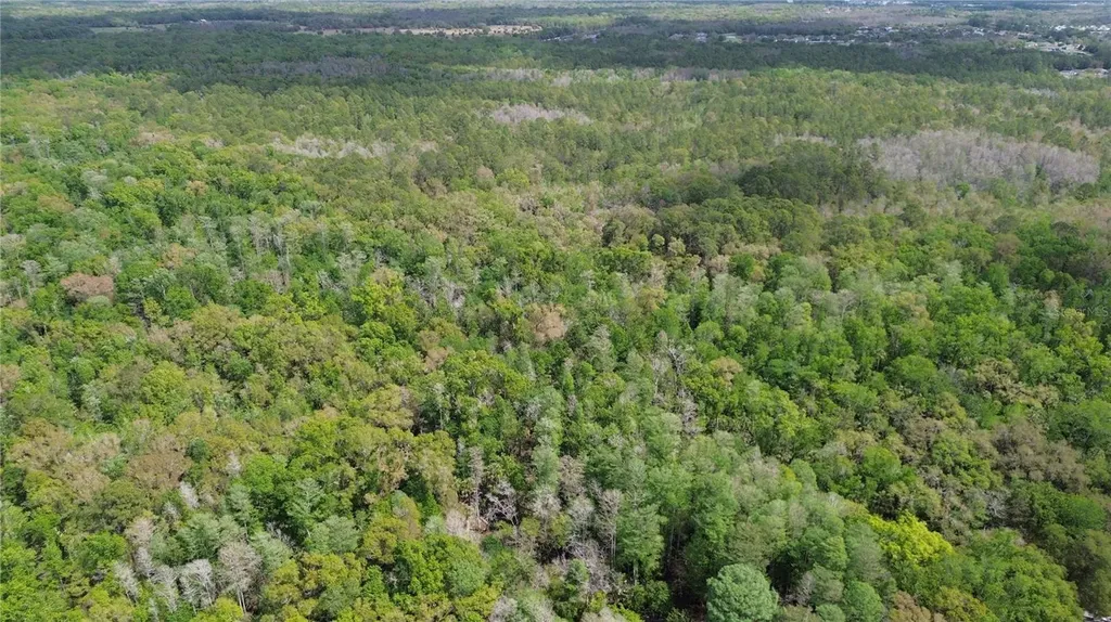 Unassigned Wesley Chapel FL 33544