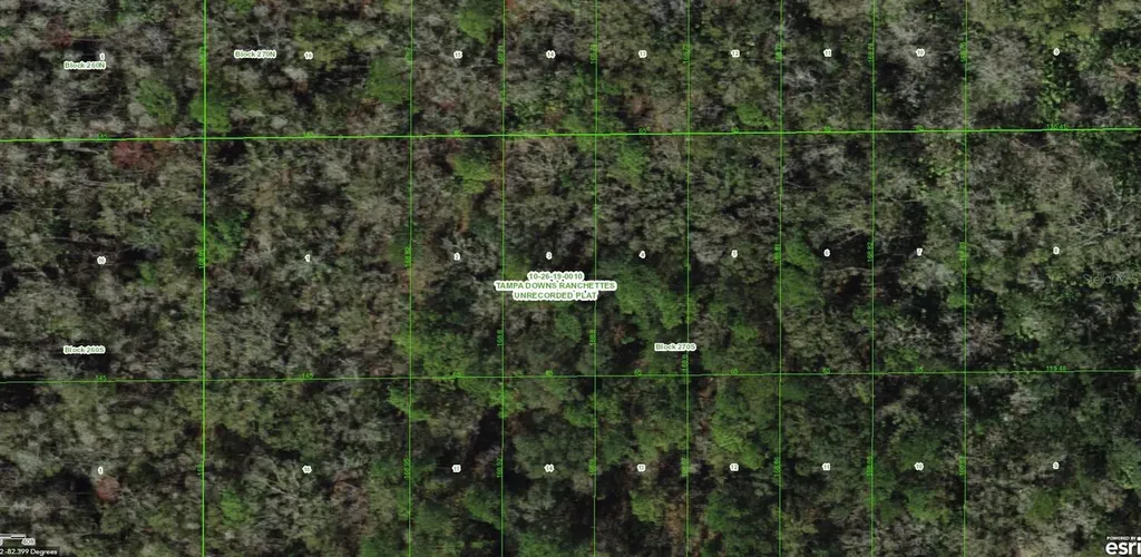 Unassigned Wesley Chapel FL 33544