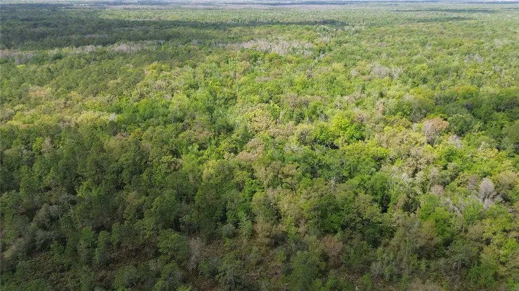 Unassigned Wesley Chapel FL 33544
