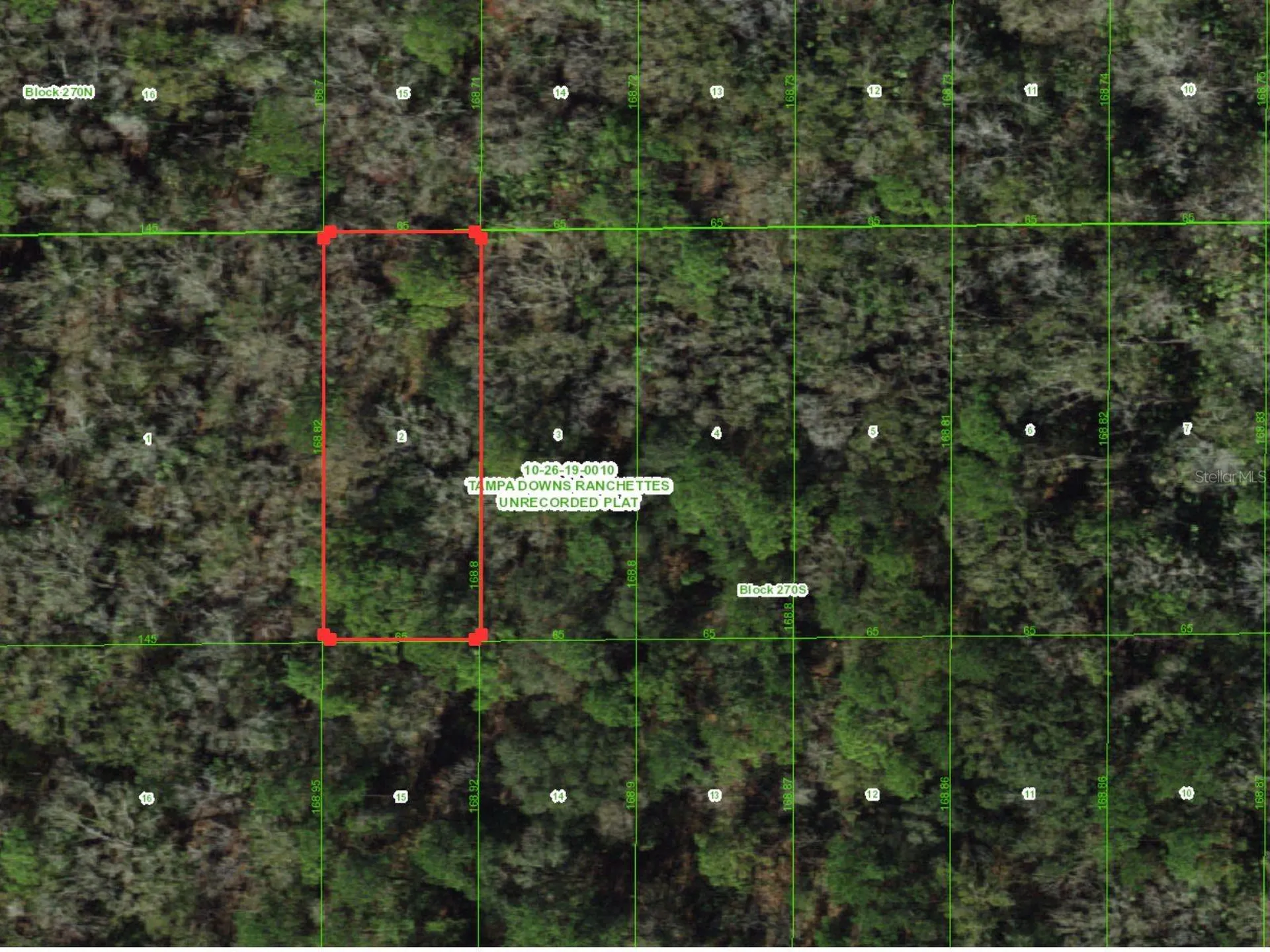 Unassigned Wesley Chapel FL 33544