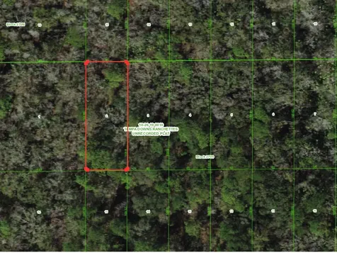 Unassigned Wesley Chapel FL 33544