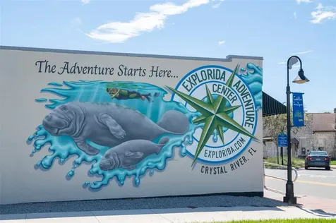 9451 W Green Bay Lane Crystal River FL 34428