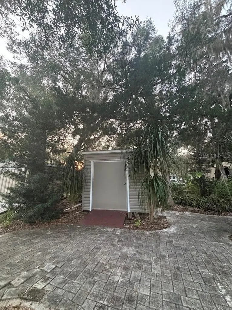 25203 NE 141st Lane Salt Springs FL 32134
