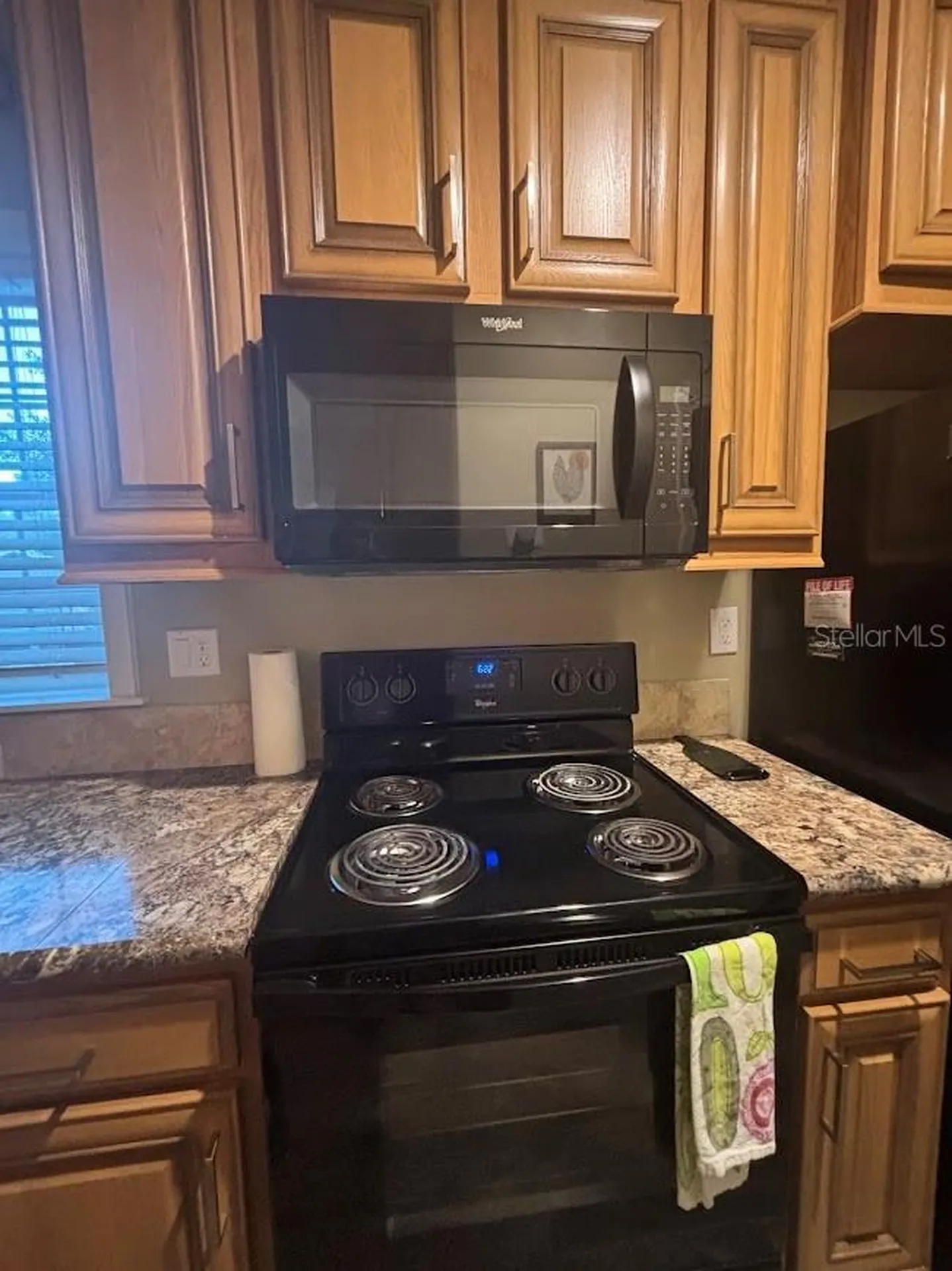 25203 NE 141st Lane Salt Springs FL 32134