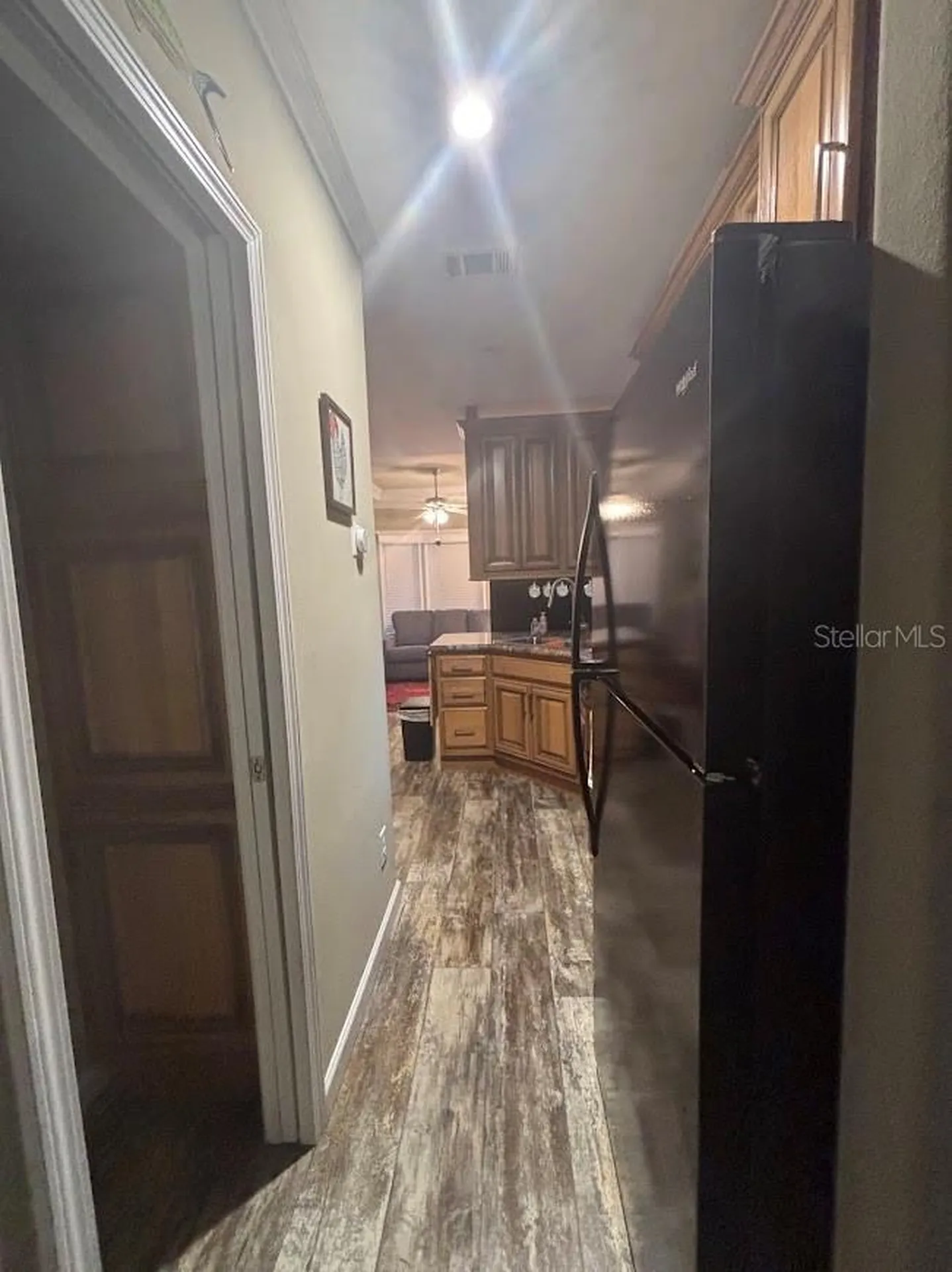 25203 NE 141st Lane Salt Springs FL 32134