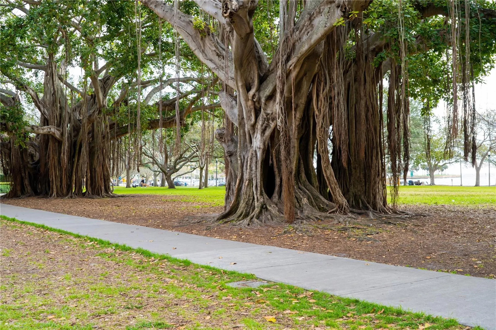 100 4th Avenue S St Petersburg FL 33701