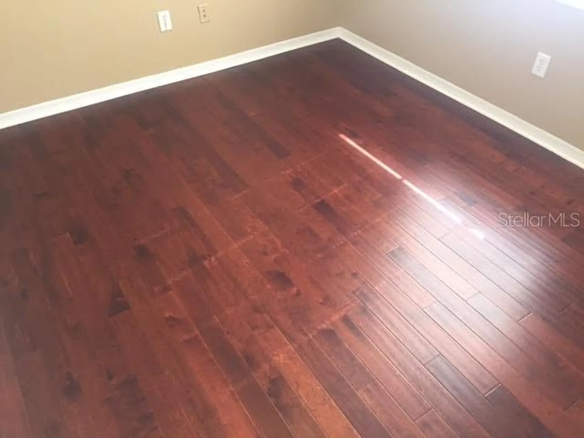 1810 E Palm Avenue Tampa FL 33605