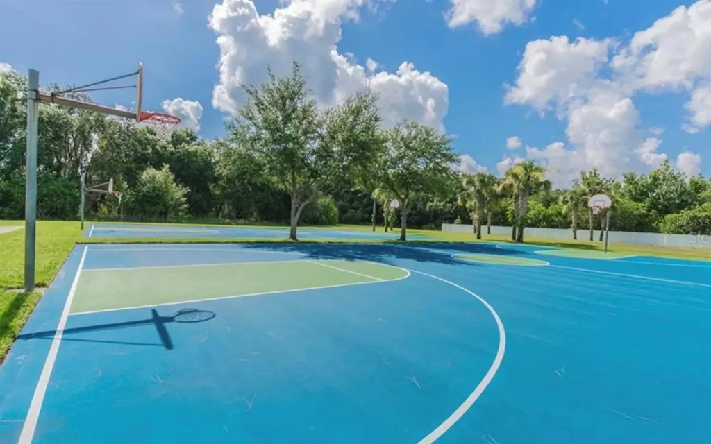 2753 Tanglewylde Drive Land O Lakes FL 34638