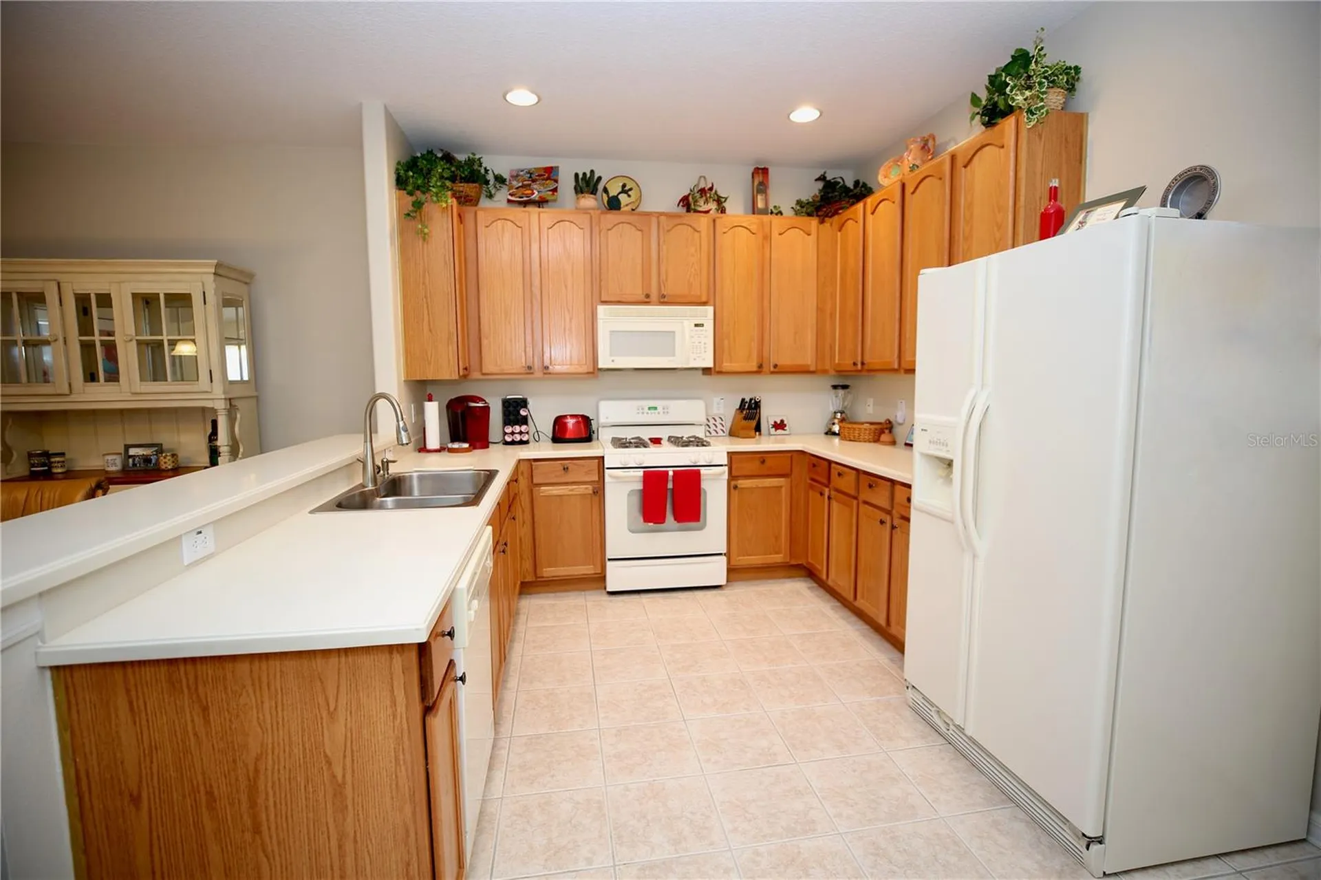 2753 Tanglewylde Drive Land O Lakes FL 34638