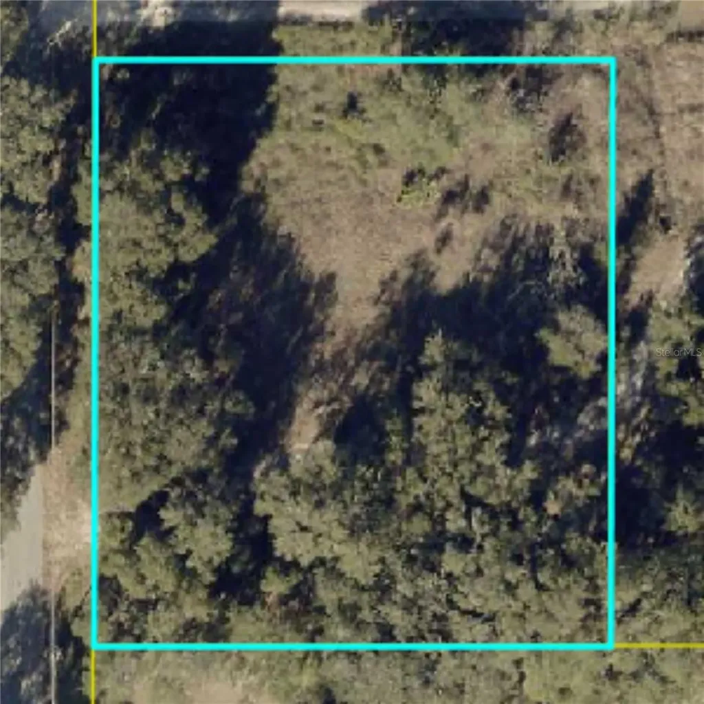 County Road 213 Wildwood FL 34785