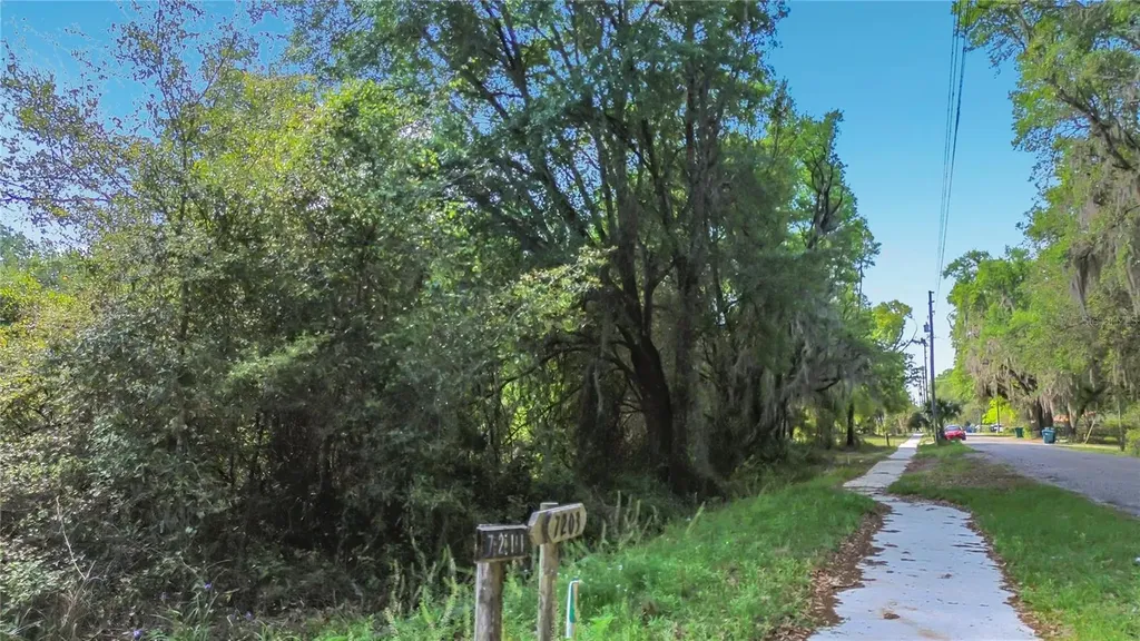 County Road 213 Wildwood FL 34785