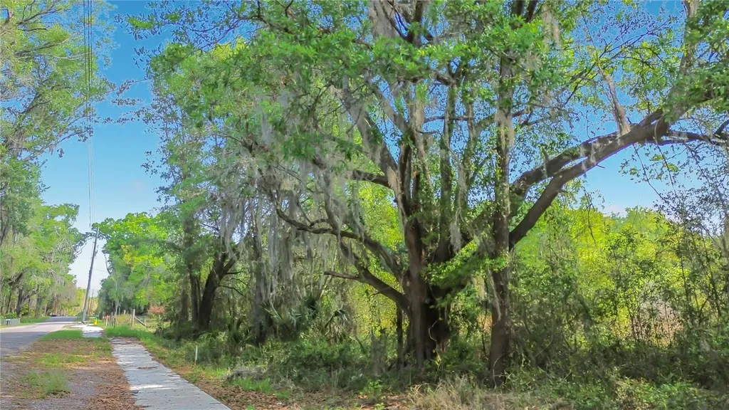 County Road 213 Wildwood FL 34785