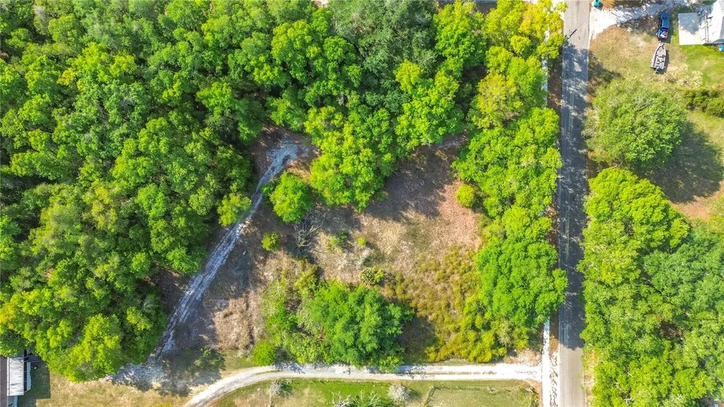 County Road 213 Wildwood FL 34785