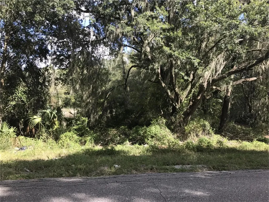 County Road 213 Wildwood FL 34785