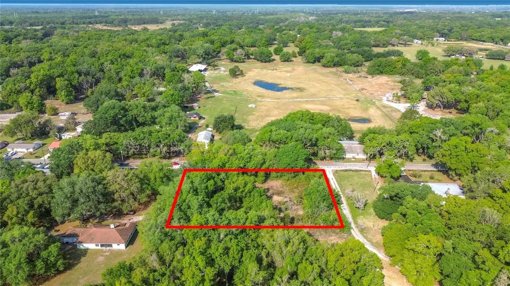 County Road 213 Wildwood FL 34785