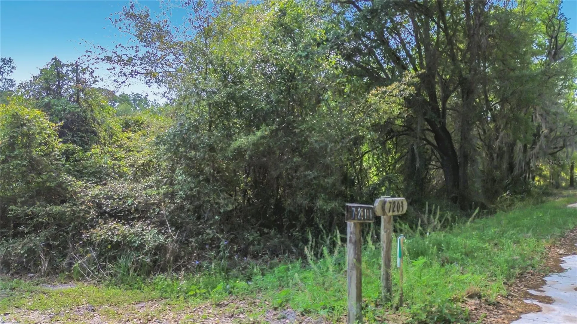 County Road 213 Wildwood FL 34785
