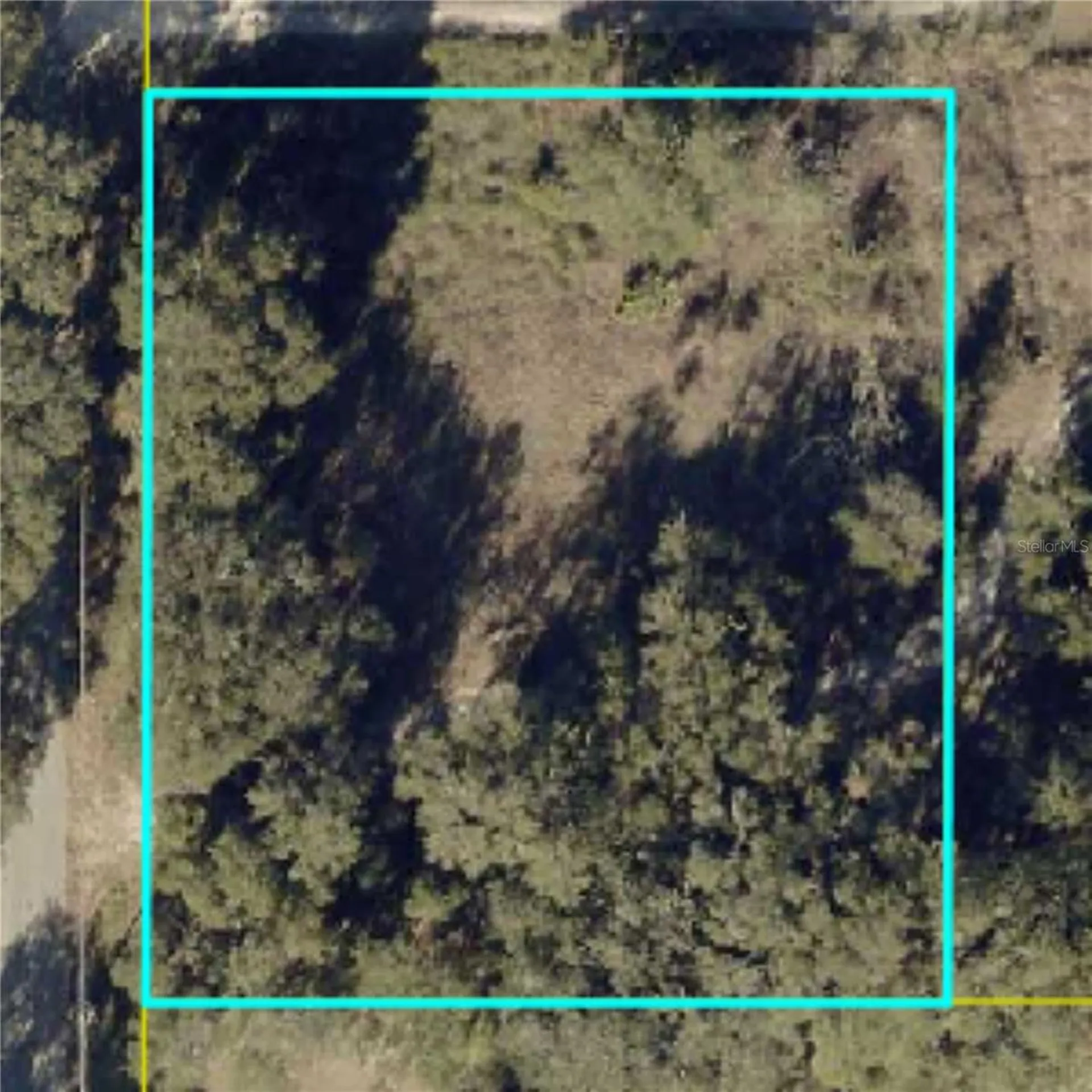 County Road 213 Wildwood FL 34785